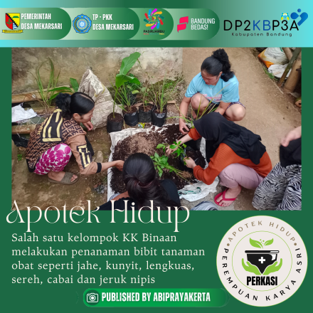 Apotek Hidup PERKASI | Perempuan Karya Asri Desa Mekarsari 